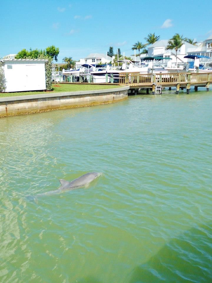 fort-myers-beach